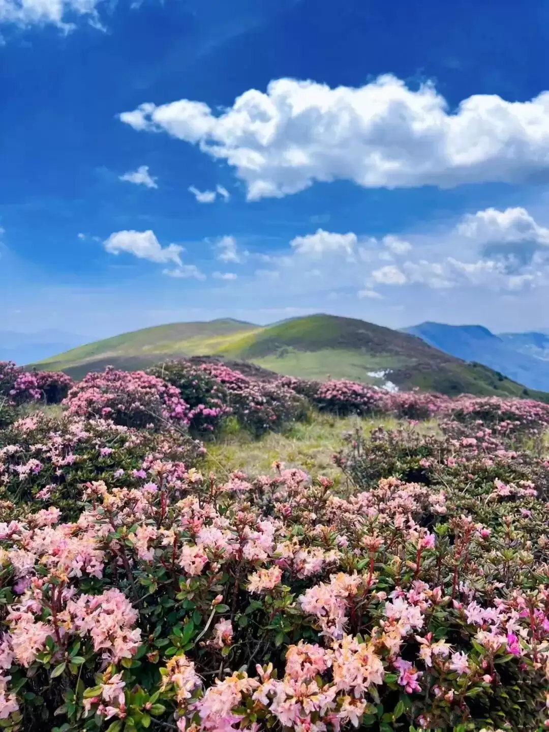 跟着大凉山戏剧节游凉山:五条线路,探秘十余个 “自然剧场” 的独特魅力插图2 跟着大凉山戏剧节游凉山:五条线路,探秘十余个 “自然剧场” 的独特魅力插图2