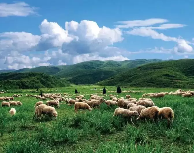 跟着大凉山戏剧节游凉山:五条线路,探秘十余个 “自然剧场” 的独特魅力插图4 跟着大凉山戏剧节游凉山:五条线路,探秘十余个 “自然剧场” 的独特魅力插图4