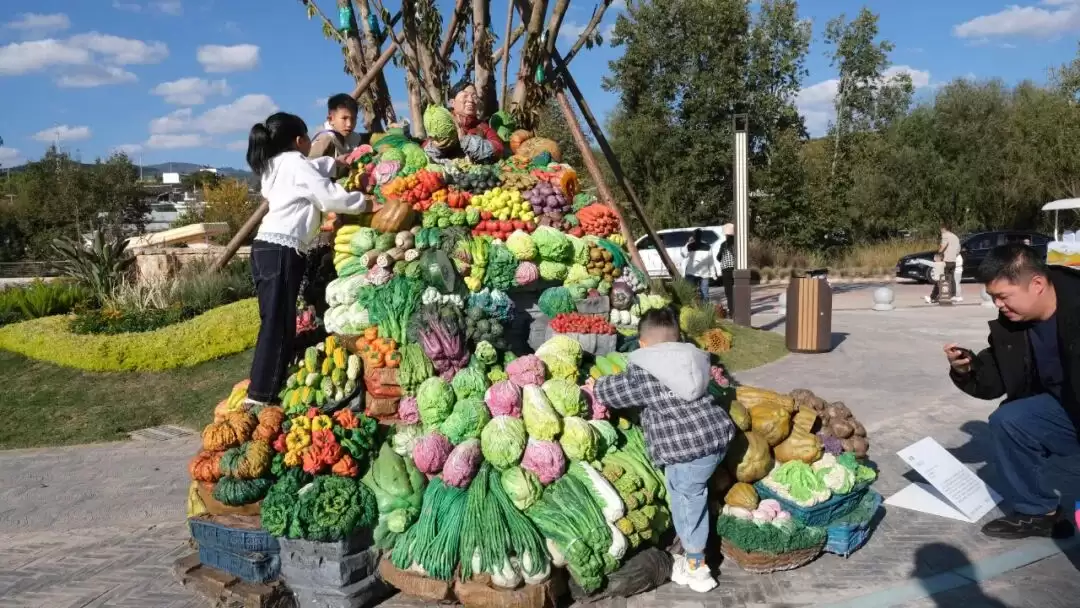 会东 “2025 冬季暖阳・凉山不凉文旅季暨首届会东公共艺术季” 带来怎样的惊喜？插图3
