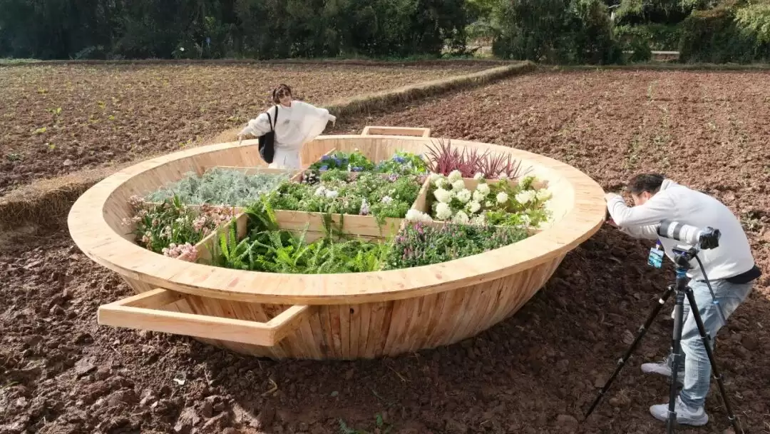 会东 “2025 冬季暖阳・凉山不凉文旅季暨首届会东公共艺术季” 带来怎样的惊喜？插图1