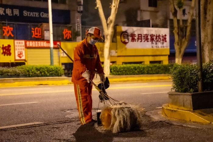 我的攀枝花 我的奋斗城(24)| 苏铁中路,她有57个“老朋友”插图1 我的攀枝花 我的奋斗城(24)| 苏铁中路,她有57个“老朋友”插图1