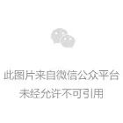 一塘荷韵启新程!莲乡布德·山水部落开园 解锁近郊田园新玩法插图2 一塘荷韵启新程!莲乡布德·山水部落开园 解锁近郊田园新玩法插图2