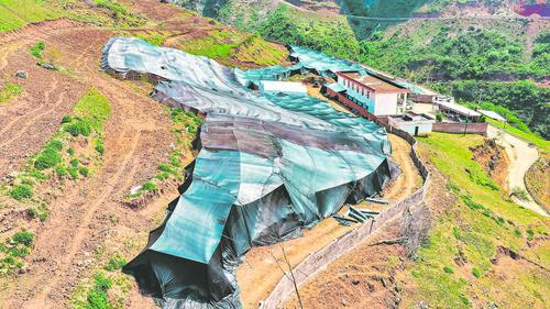 闲置林地变身“绿色聚宝盆” 普格县林下赤松茸采收忙-会东网